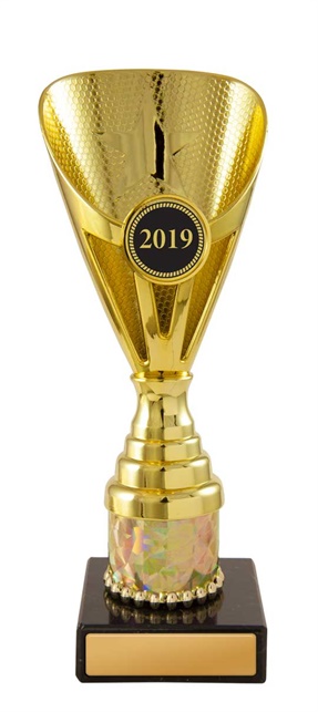 w19-3702_discount-cups-trophies.jpg