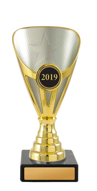 w19-3716_discount-cups-trophies.jpg