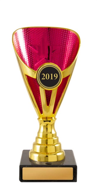 w19-3726_discount-cups-trophies.jpg