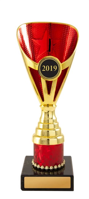 w19-3737_discount-cups-trophies.jpg