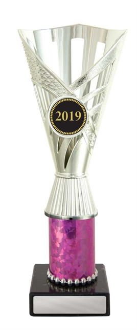 w19-3812_discount-cups-trophies.jpg