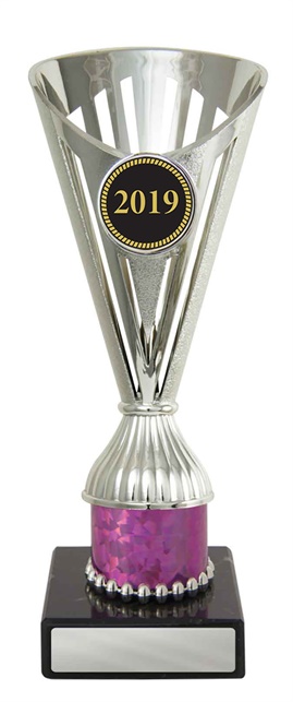 w19-3917_discount-cups-trophies.jpg