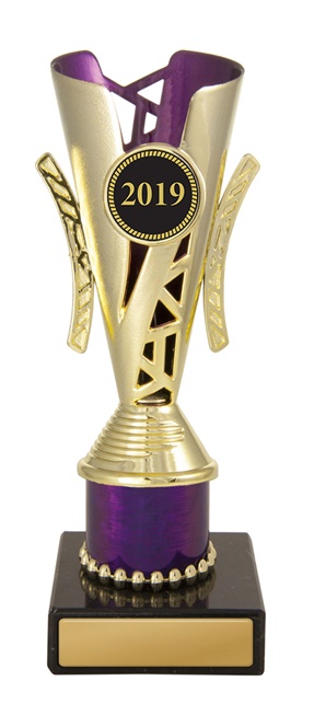 w19-4012_discount-cups-trophies.jpg