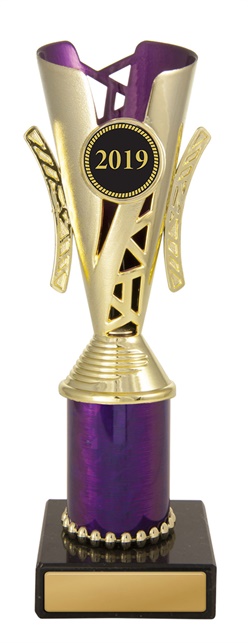 w19-4012_discount-cups-trophies.jpg