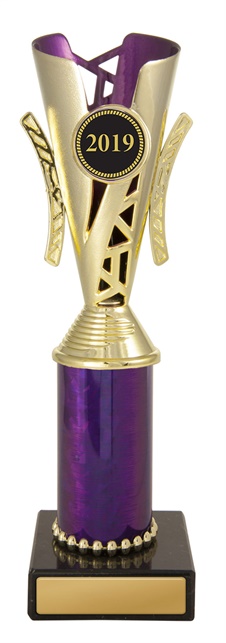 w19-4012_discount-cups-trophies.jpg