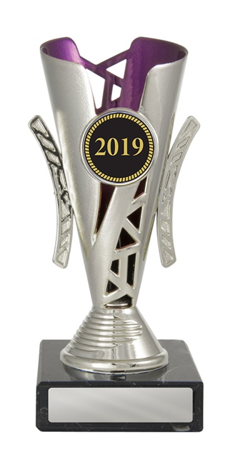 w19-4041_discount-cups-trophies.jpg