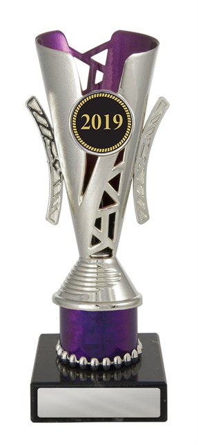 w19-4042_discount-cups-trophies.jpg