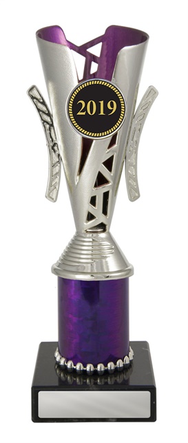 w19-4042_discount-cups-trophies.jpg