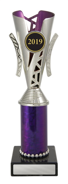 w19-4042_discount-cups-trophies.jpg