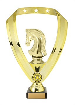 w19-6507_discount-chess-trophies.jpg