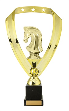 w19-6508_discount-chess-trophies.jpg