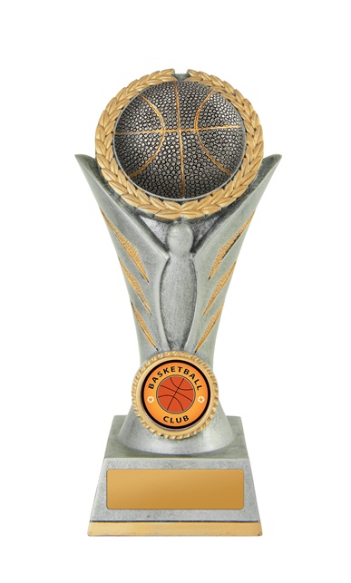 w19-7801_discount-basketball-trophies.jpg