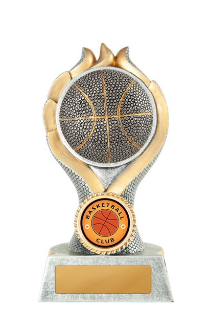 w19-7806_discount-basketball-trophies.jpg
