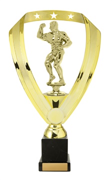 w19-8402_discount-body-building-trophies.jpg