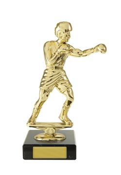 w19-8409_discount-boxing-trophies.jpg
