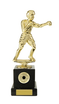 w19-8410_discount-boxing-trophies.jpg