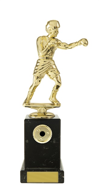 w19-8410_discount-boxing-trophies.jpg