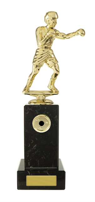 w19-8410_discount-boxing-trophies.jpg