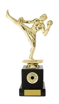 w19-8414_discount-boxing-trophies.jpg