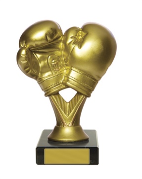 w19-8417_discount-boxing-trophies.jpg