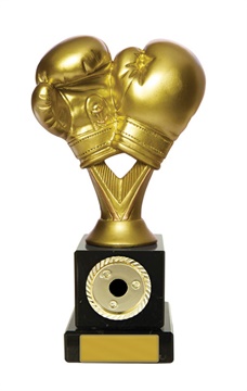 w19-8418_discount-boxing-trophies.jpg