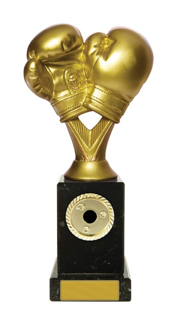 w19-8418_discount-boxing-trophies.jpg