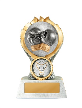 w19-8508_discount-boxing-trophies.jpg