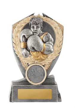 w19-8513_discount-boxing-trophies.jpg