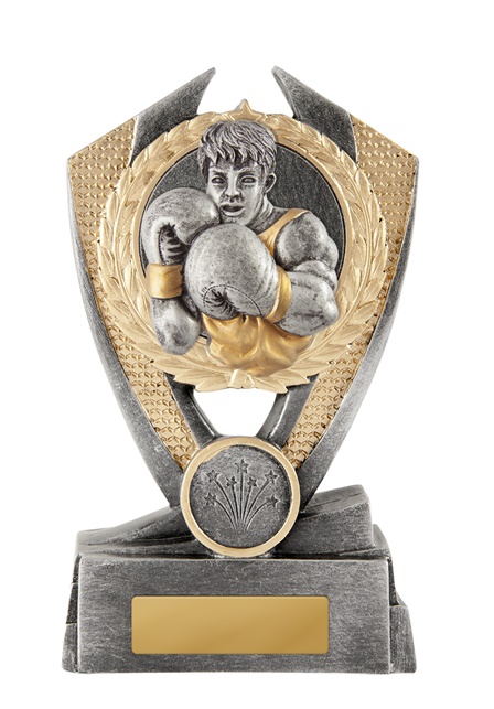 w19-8513_discount-boxing-trophies.jpg