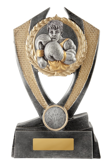 w19-8513_discount-boxing-trophies.jpg