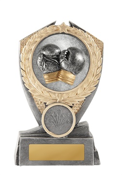 w19-8516_discount-boxing-trophies.jpg