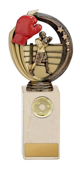 w19-8520_discount-boxing-trophies.jpg