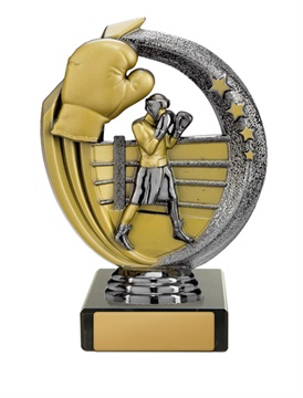 w19-8523_discount-boxing-trophies.jpg