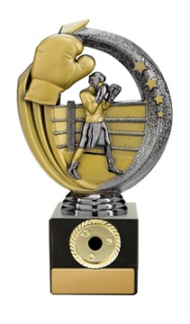 w19-8524_discount-boxing-trophies.jpg