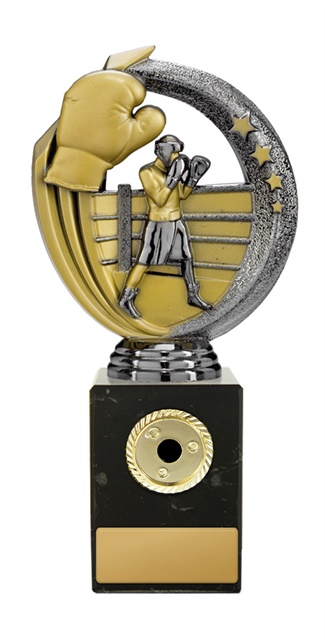 w19-8524_discount-boxing-trophies.jpg