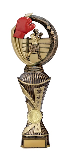 w19-8527_discount-boxing-trophies.jpg