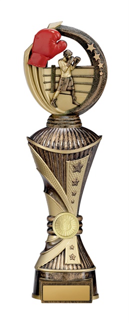 w19-8527_discount-boxing-trophies.jpg