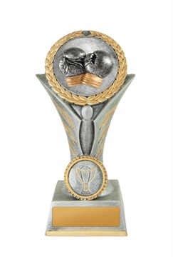 w19-8541_discount-boxing-trophies.jpg