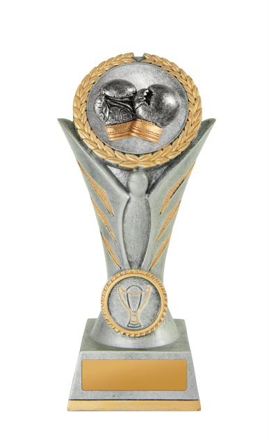 w19-8541_discount-boxing-trophies.jpg