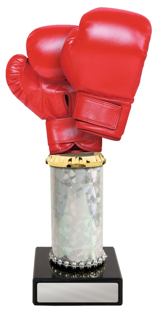 w19-8607_discount-boxing-trophies.jpg