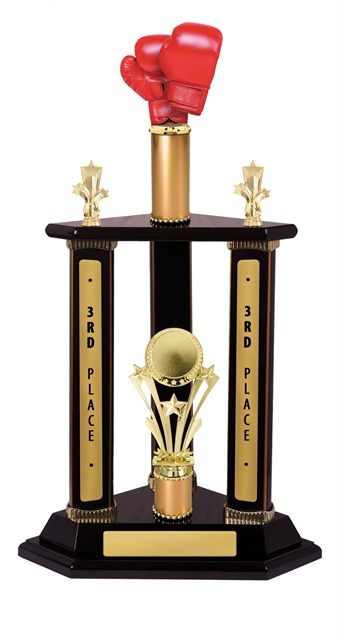 w19-8611_discount-boxing-trophies.jpg