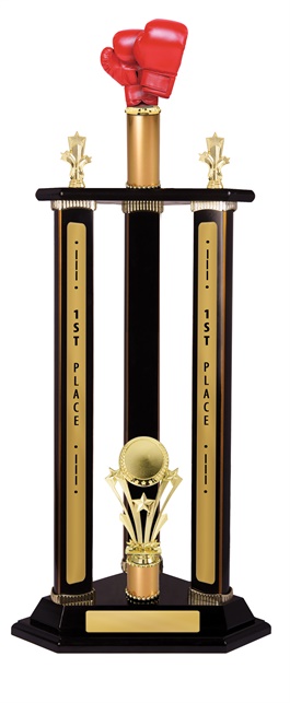 w19-8611_discount-boxing-trophies.jpg