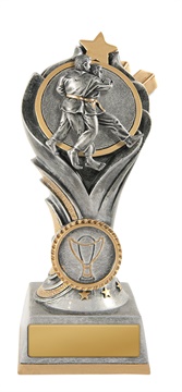 w19-8707_discount-martial-arts-trophies.jpg