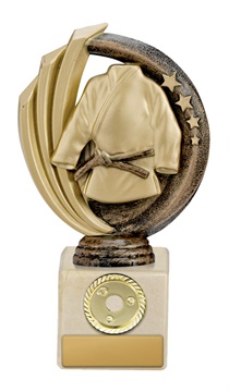 w19-8714_discount-martial-arts-trophies.jpg