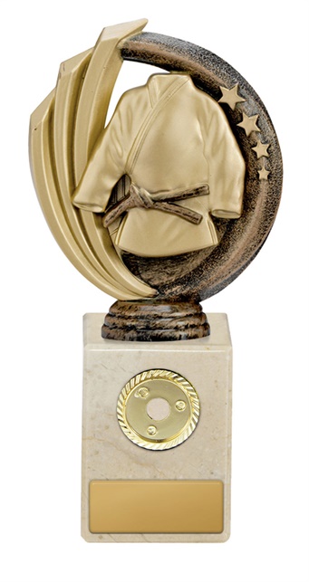 w19-8714_discount-martial-arts-trophies.jpg