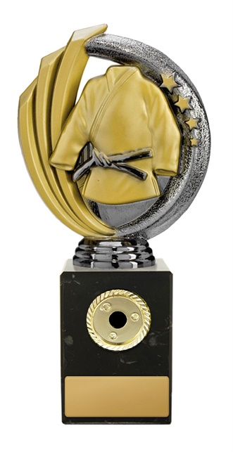 w19-8718_discount-martial-arts-trophies.jpg