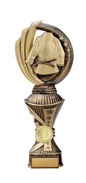 w19-8721_discount-martial-arts-trophies.jpg