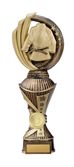 w19-8721_discount-martial-arts-trophies.jpg