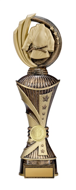 w19-8721_discount-martial-arts-trophies.jpg