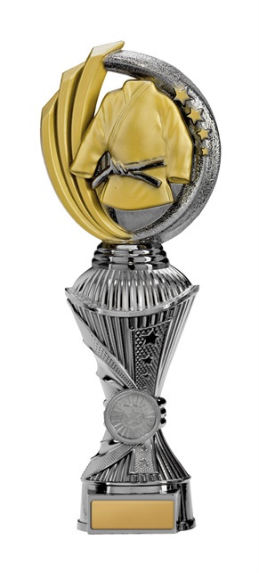 w19-8726_discount-martial-arts-trophies.jpg